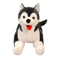 1pc 65cm Kawaii Husky Soft Plush Dog Dolls Stuffed Animal Kids Toys