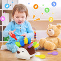 Hedgehog Montessori Educational Toy Fine Motor Toys