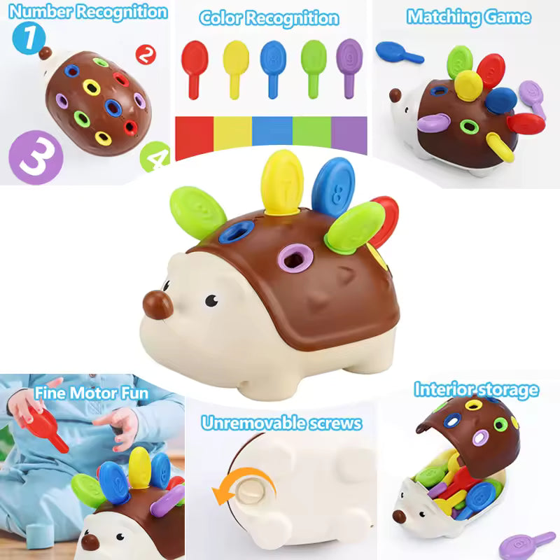 Hedgehog Montessori Educational Toy Fine Motor Toys
